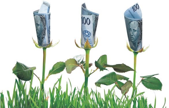 Dinheiro verde! Sustentabilidade e dinheiro