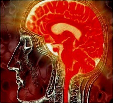 O exercício mental para uma vida melhor Treinando o cérebro para mudanças