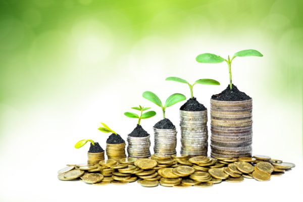 Investimentos: cuidado para cultivar seu dinheiro! Cuidados antes de investir