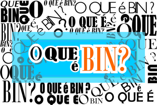 Definição de BIN