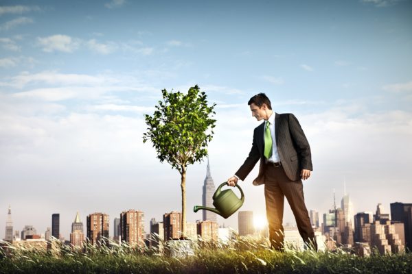 Rendimento de investimento