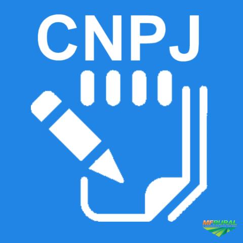 Consultar CNPJ